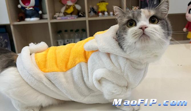 为什么早期传腹检查结果不明显