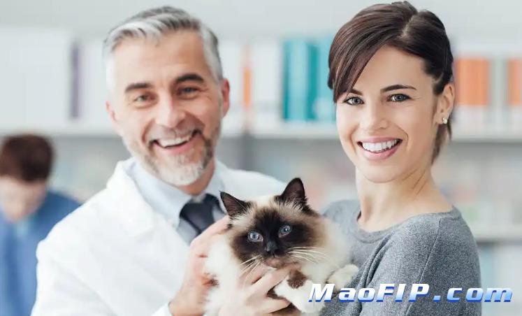 猫传腹用的441多少钱