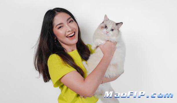 猫传腹的临床转归与复发