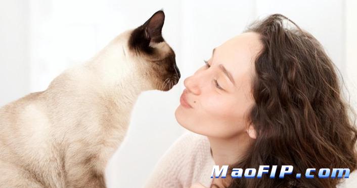 猫传腹的病因是什么