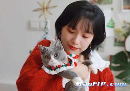 猫传腹容易死吗