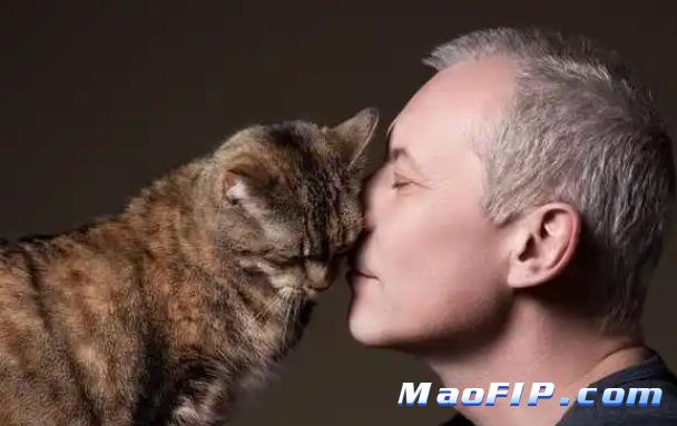 猫传染性腹膜炎的免疫学评估