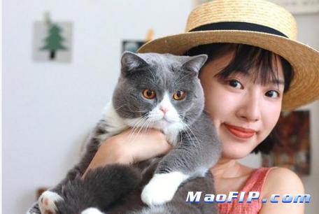 猫传腹会通过什么传染