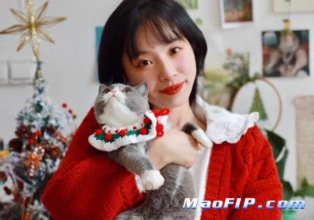 猫传腹是什么原因导致