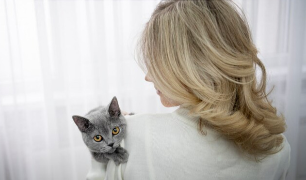 猫传腹用药需要打针还是吃药