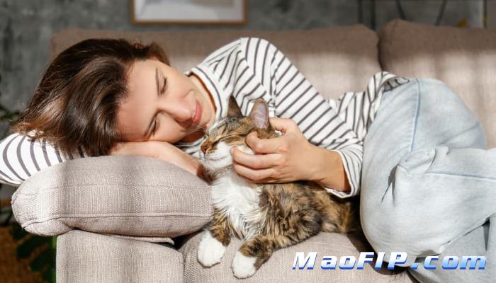 猫传腹的治疗费用是多少