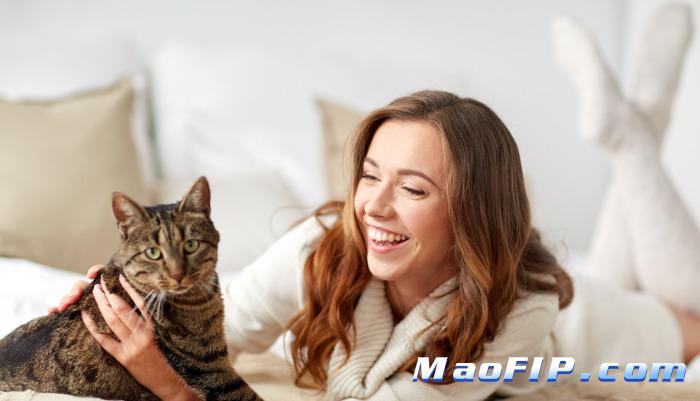 猫传腹(FIP)用441几天能见效