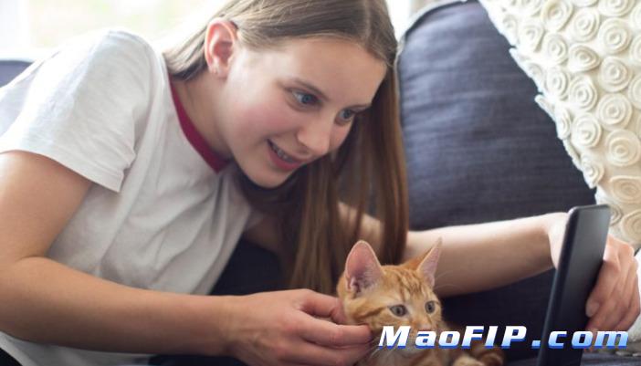 猫传腹早期表现