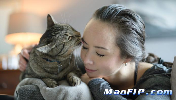 猫传染性腹膜炎的治疗成功率