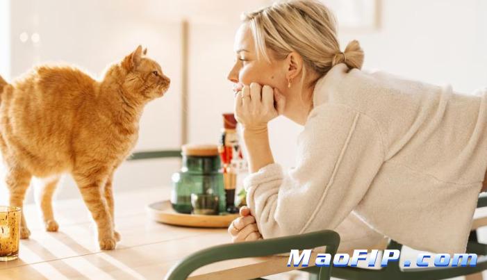 怎么防止猫传腹