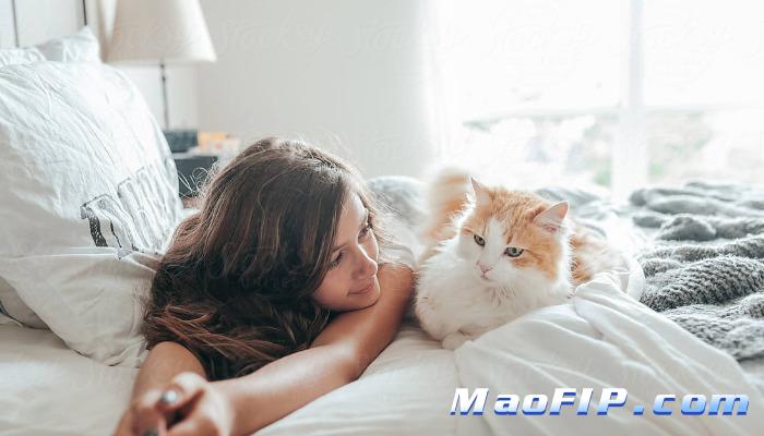 猫传染性腹膜炎(FIP)打完GS-441524状态