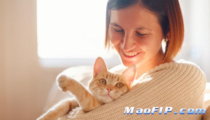 猫传腹好了之后会复发吗