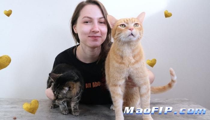 猫传染性腹膜炎(FIP)是啥病严重吗
