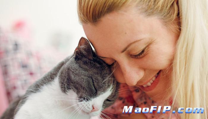 猫传腹治愈率有多少