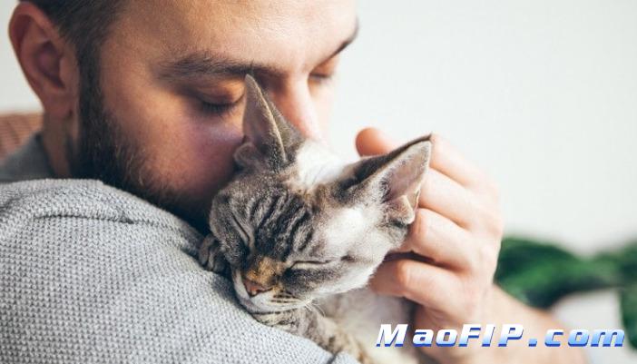 441猫传腹用法用量