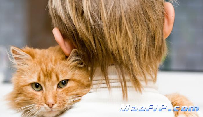 猫传染性腹膜炎能自愈吗多久