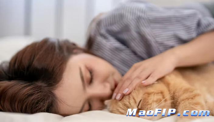 441猫传腹的作用