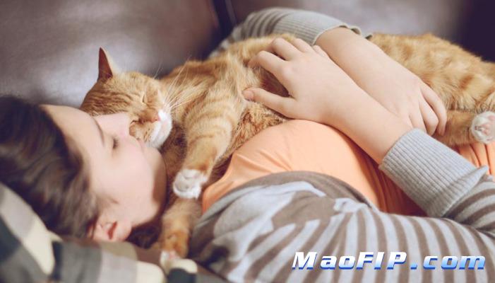 猫传染性腹膜炎和猫瘟的区别