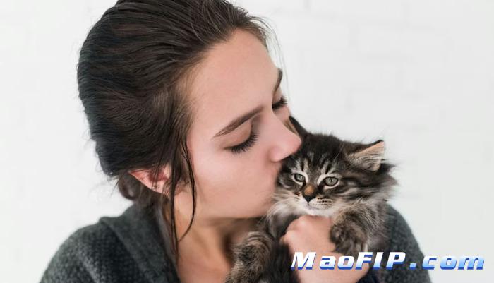 猫传腹疫苗有效吗