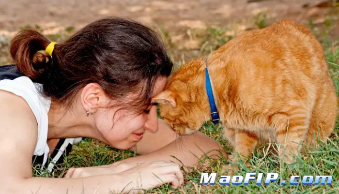 猫传染性腹膜炎用什么药治疗