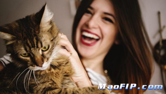 猫传腹用药后为什么没效果