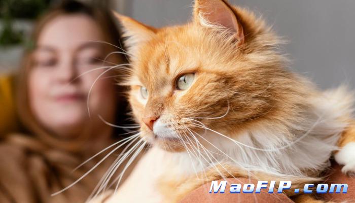 猫传腹呕吐拉稀吗