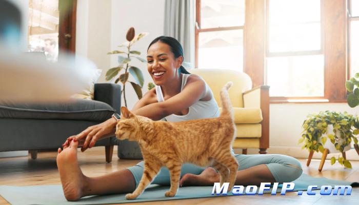 猫传染性腹膜炎(FIP)GS-441524主要成分是什么
