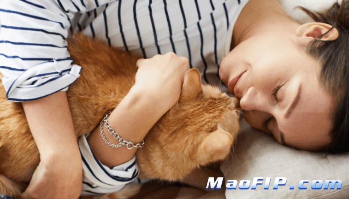 猫传腹能治好吗441