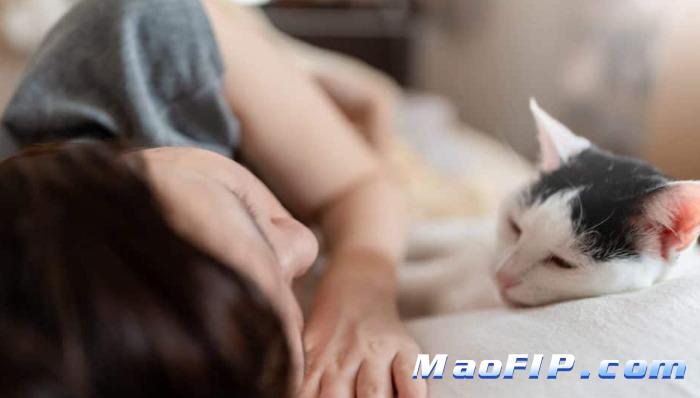 猫传腹白球比多少可以停药