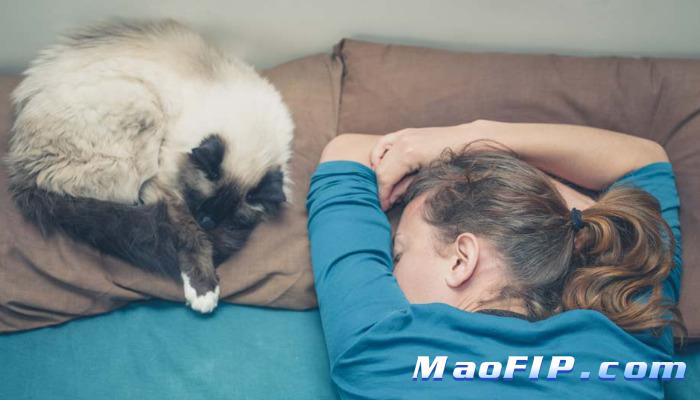 猫传腹是一种什么病怎么治疗