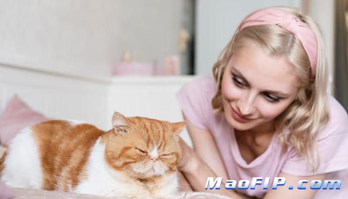 猫传腹腹水颜色说明什么