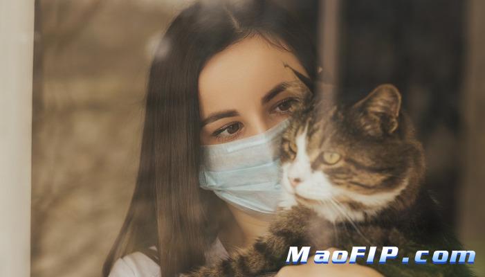 猫咪传腹腹水症状是什么样的