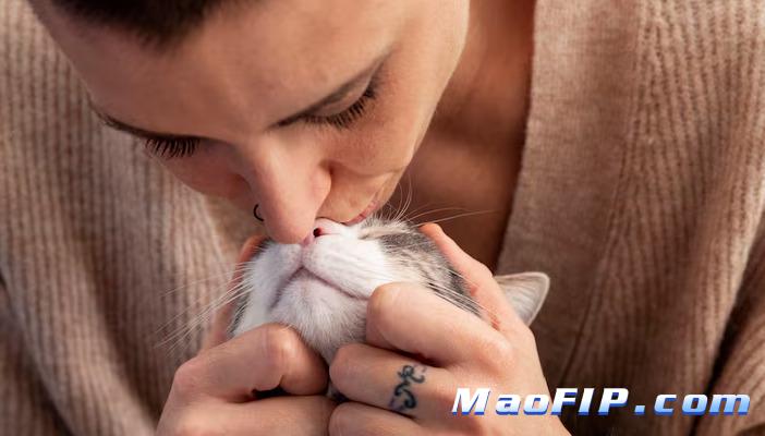 猫得了猫传腹会自愈吗