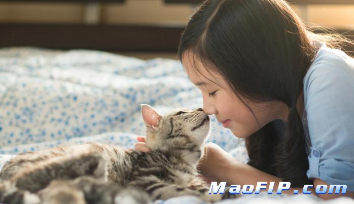 猫传染性腹膜炎与猫免疫缺陷的关系