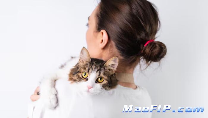猫咪猫传染性腹膜炎(FIP)治疗的话多少钱