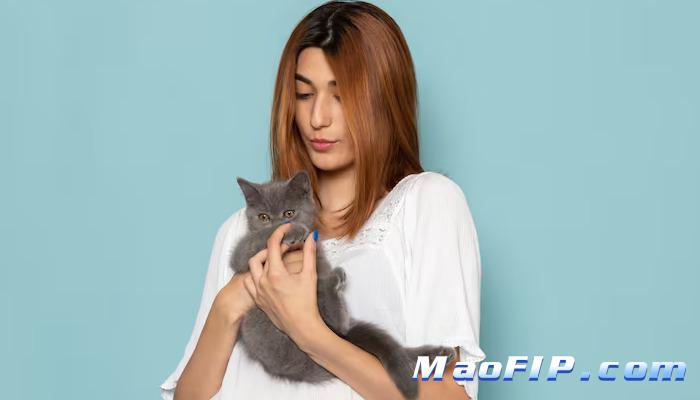 猫传腹用药价格一般多少 普通家庭能不能承受