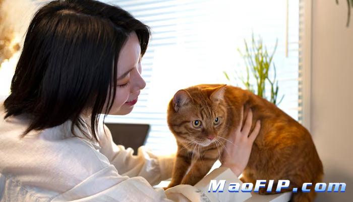 猫咪肠胃弱怎么降低传腹风险