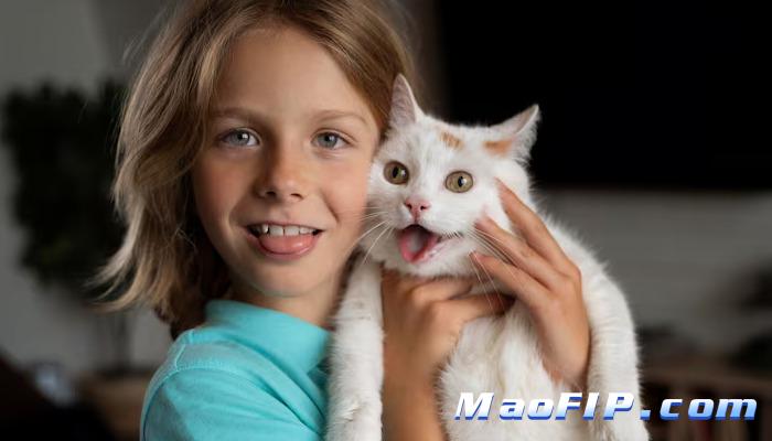 猫传腹前期是什么症状