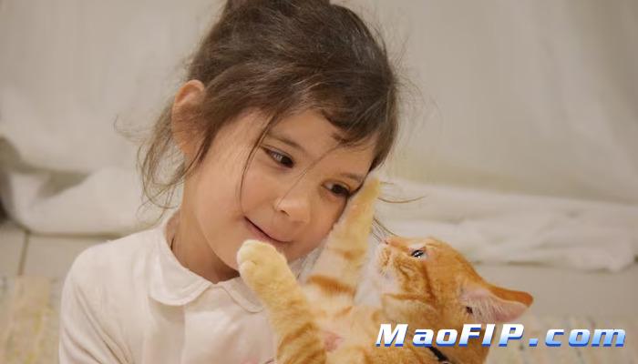 猫传腹疫苗接种的时机