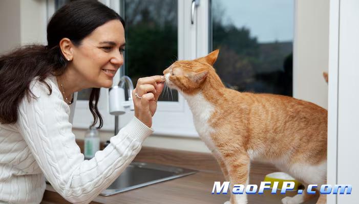 猫传染性腹膜炎的诊断依据