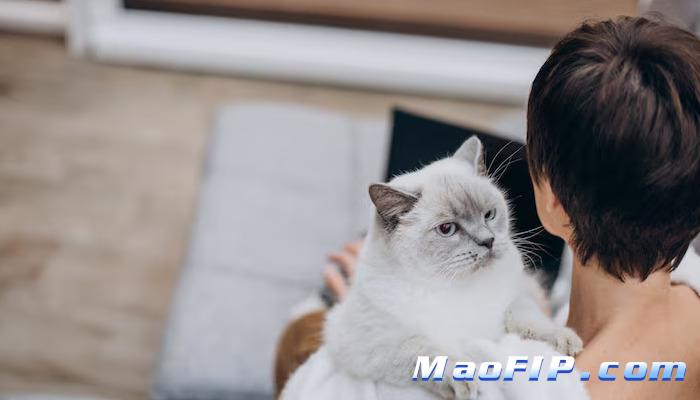 怎么预防猫传腹病