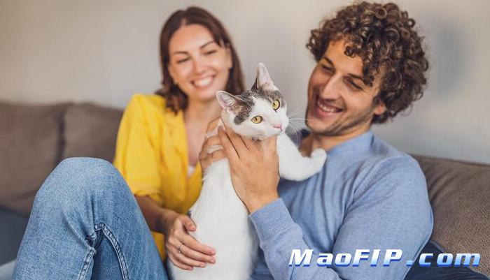 猫传腹治好的几率大吗