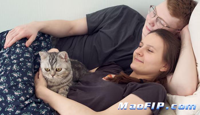 猫传腹用药期间突然恶化怎么办