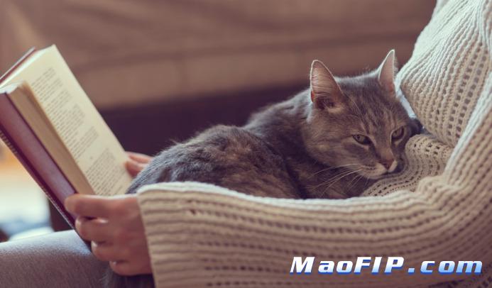 猫传染性腹膜炎症状体征有哪些