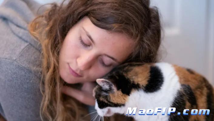 猫传腹治疗需要花多少钱