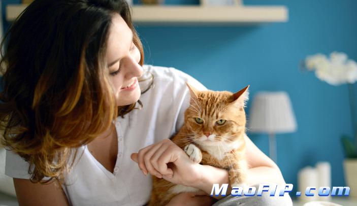 猫传腹用药期间要不要保肝