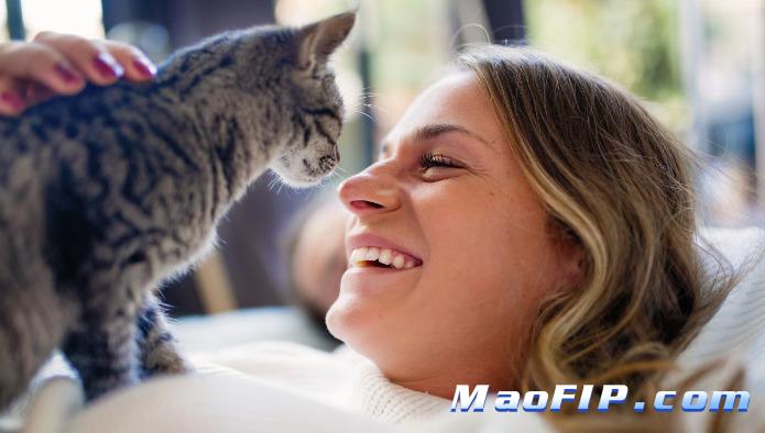 猫传染性腹膜炎治疗方案