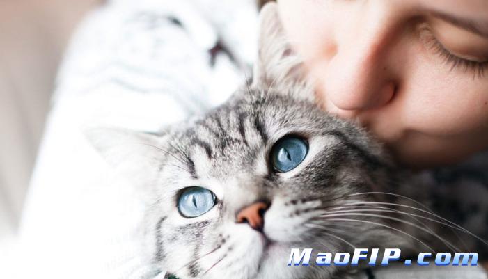 猫传腹的免疫治疗临床应用