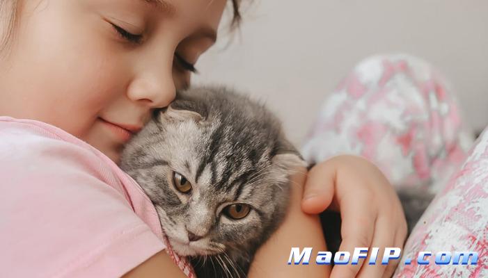 什么是猫传腹病是什么症状