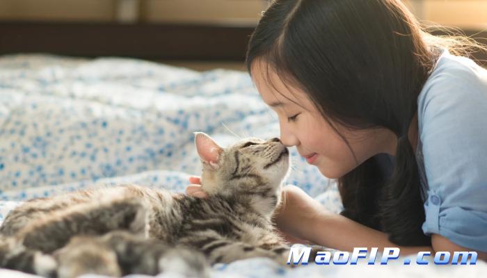 猫传腹是什么病会传染吗